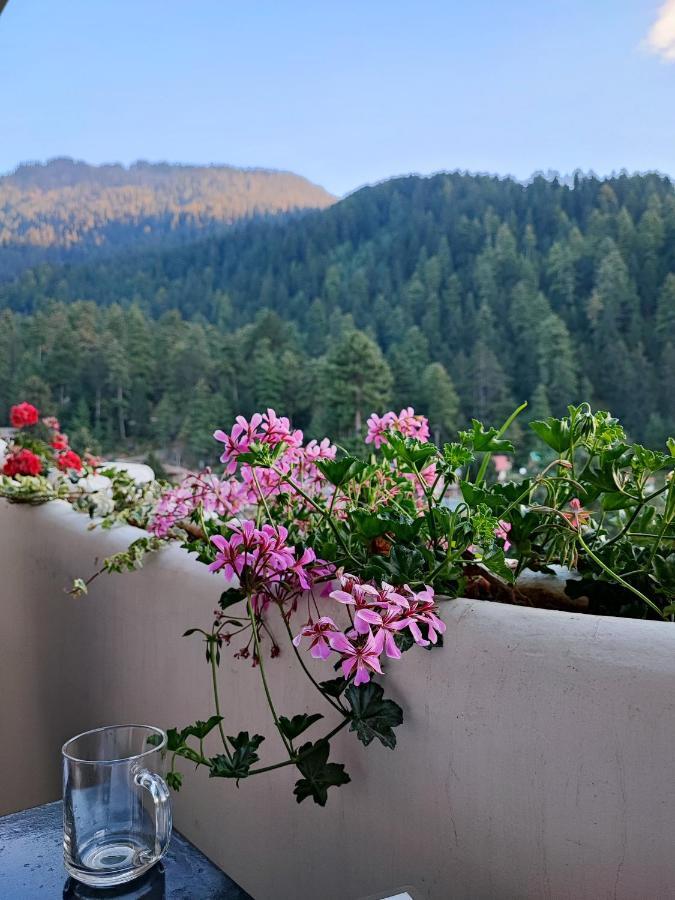 Indian Backpackers Hostel Манали Экстерьер фото